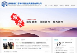 桦甸城市开发投资集团有限公司