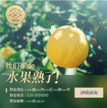 桦甸果园果林小程序开发